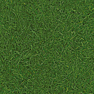 Линолеум IVC Neo Grass 25