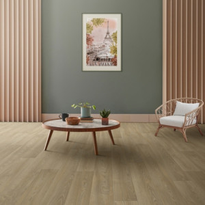 IVC Home Mars