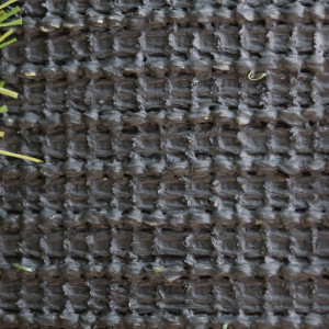 Искусственная трава Topi Grass 25